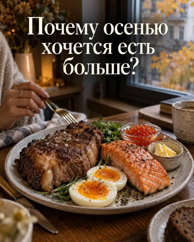 Пост канала «МАНИША PRO» от 21 сентября 2026 г.