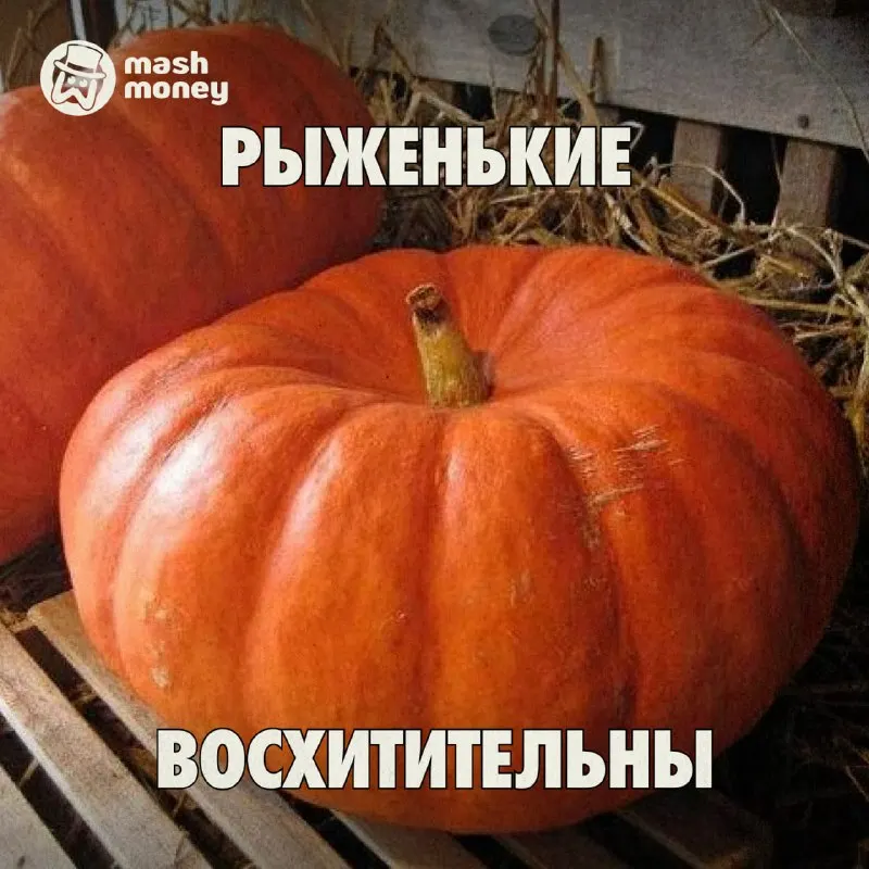 Пост из Mash Money