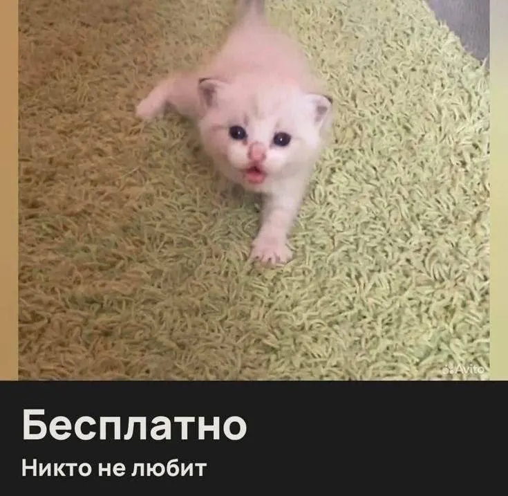 Пост канала «Мемная группа рабочего класса тыловой солянки» от 30 сентября 2026 г.