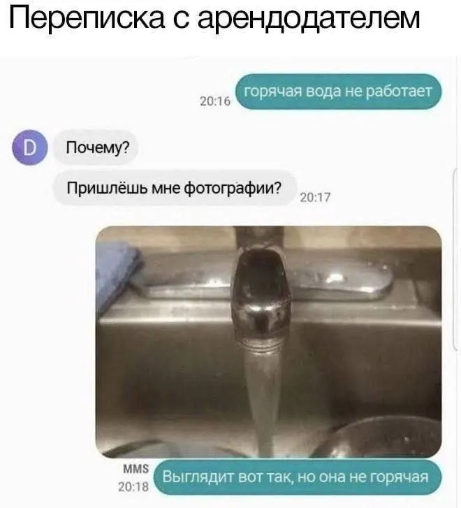Post by “Meme, Kürwa!” from October 1, 2026
