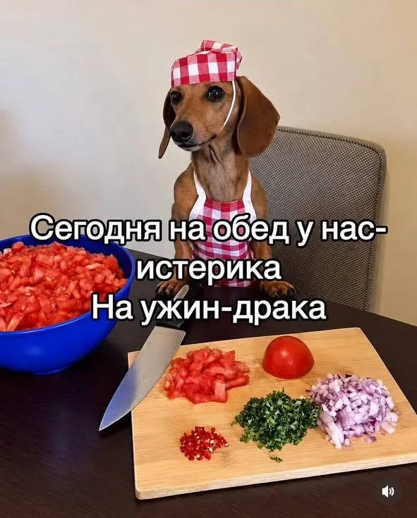 Post by “Meme, Kürwa!” from October 1, 2026