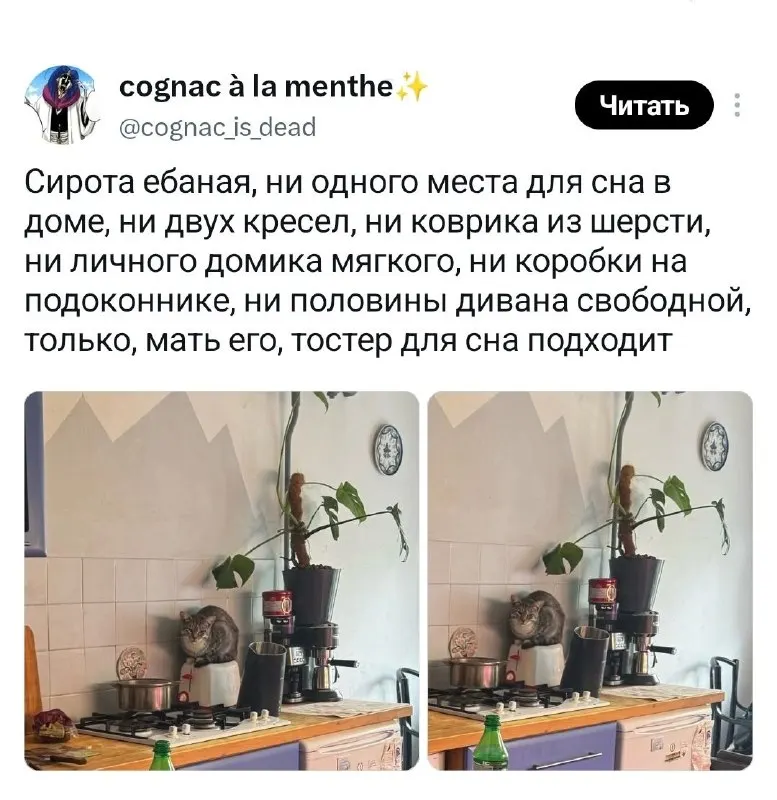 Пост канала «Мемолог без опыта» от 30 сентября 2026 г.