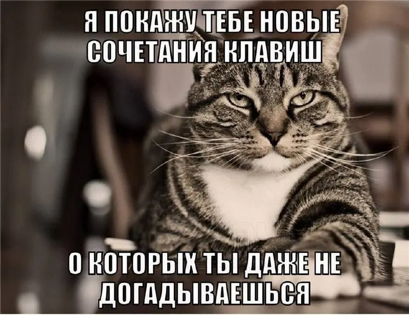 Пост канала «⚙️МемЗавод№7⚙️» от 30 сентября 2026 г.