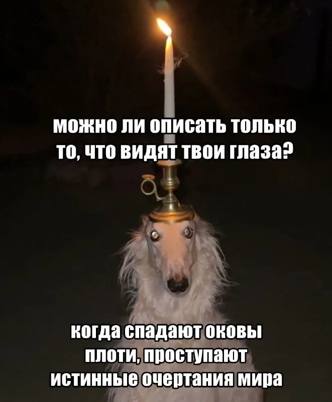 Пост канала «⚙️МемЗавод№7⚙️» от 30 сентября 2026 г.