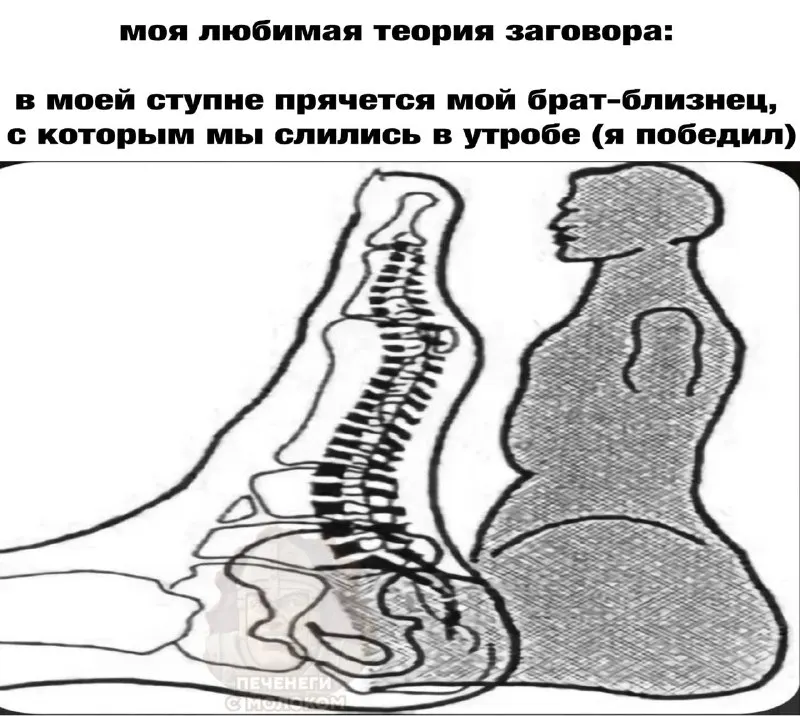 Пост канала «Печенеги с молоком» от 29 сентября 2026 г.