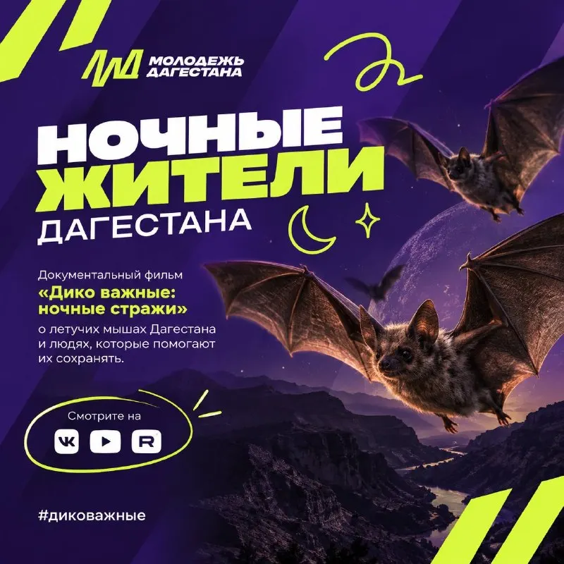 Пост канала «Дагмолодёжь» от 30 сентября 2026 г.