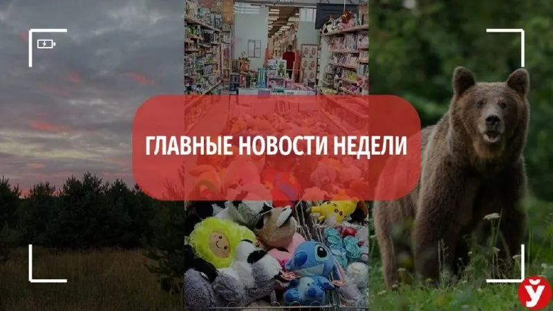 Пост из Минская правда|MLYN.by