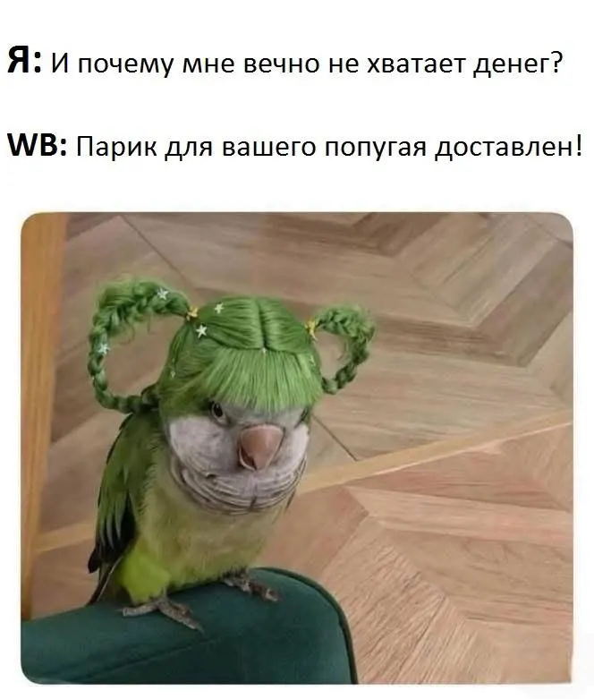 Пост канала «Жабакараван ў сераду — мемы і пагоня за квакам🐸» от 1 октября 2026 г.