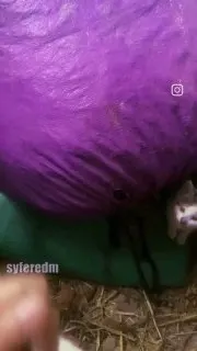 Пост канала «MOODiYA | MEMES» от 1 октября 2026 г.