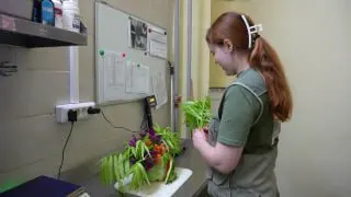 Пост канала «Московский зоопарк» от 30 сентября 2026 г.