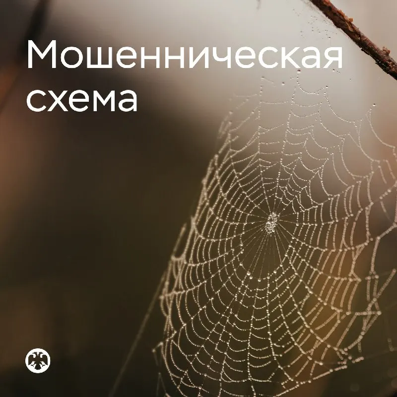 Пост канала «Мошенник звонит на телефон» от 30 сентября 2026 г.