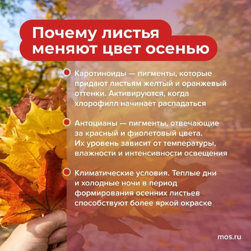 Post by “Город Москва” from September 30, 2026