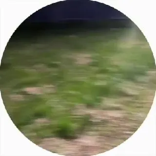 Post by “Мозечка” from August 31, 2026