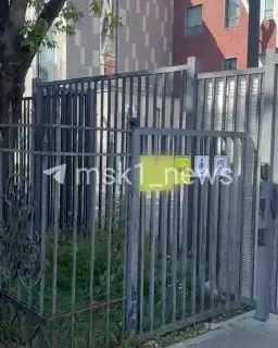 Пост из MSK1.RU | Новости Москвы | Россия