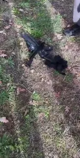 A post from MT News