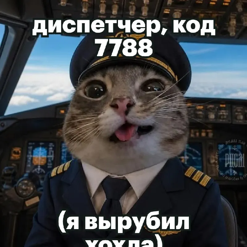 Пост канала «Выкрутасы и причуды» от 30 сентября 2026 г.