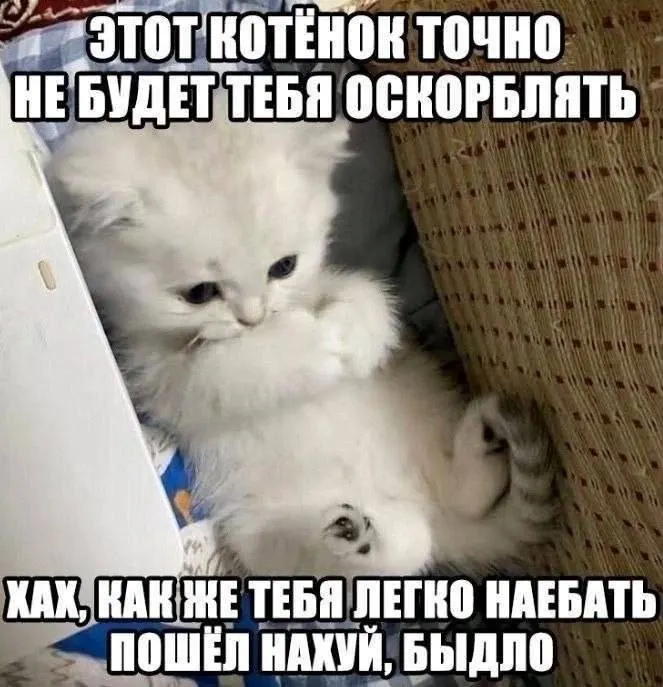 Пост канала «NOMOREMEMES» от 1 октября 2026 г.