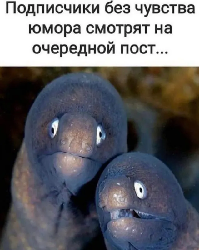 Пост канала «Один последний мемас (One last meme)» от 30 сентября 2026 г.