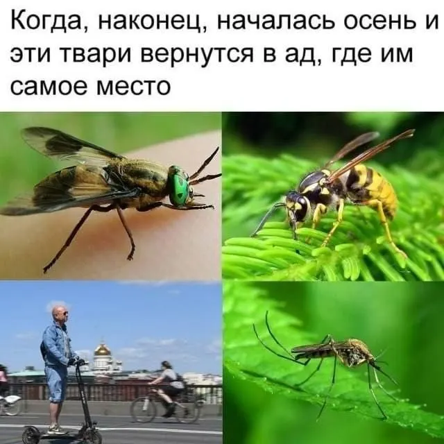 Пост канала «Overchan9000» от 30 сентября 2026 г.