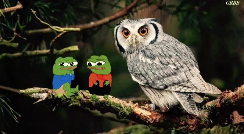 Пост канала «Peepo Pepe» от 29 сентября 2026 г.