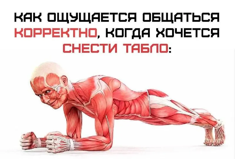 Пост канала «пёсья ж*па» от 29 сентября 2026 г.
