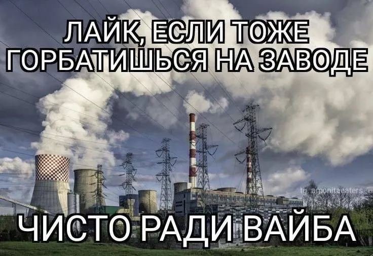 Пост канала «пёсья ж*па» от 1 октября 2026 г.