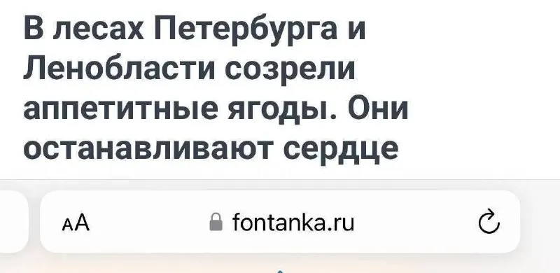 Пост канала «Пикчи разной степени абсурдности» от 29 сентября 2026 г.