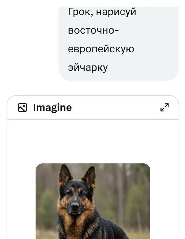 Пост канала «Пикчи разной степени абсурдности» от 30 сентября 2026 г.