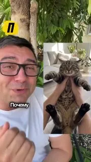 Post by “Питер онлайн” from September 30, 2026