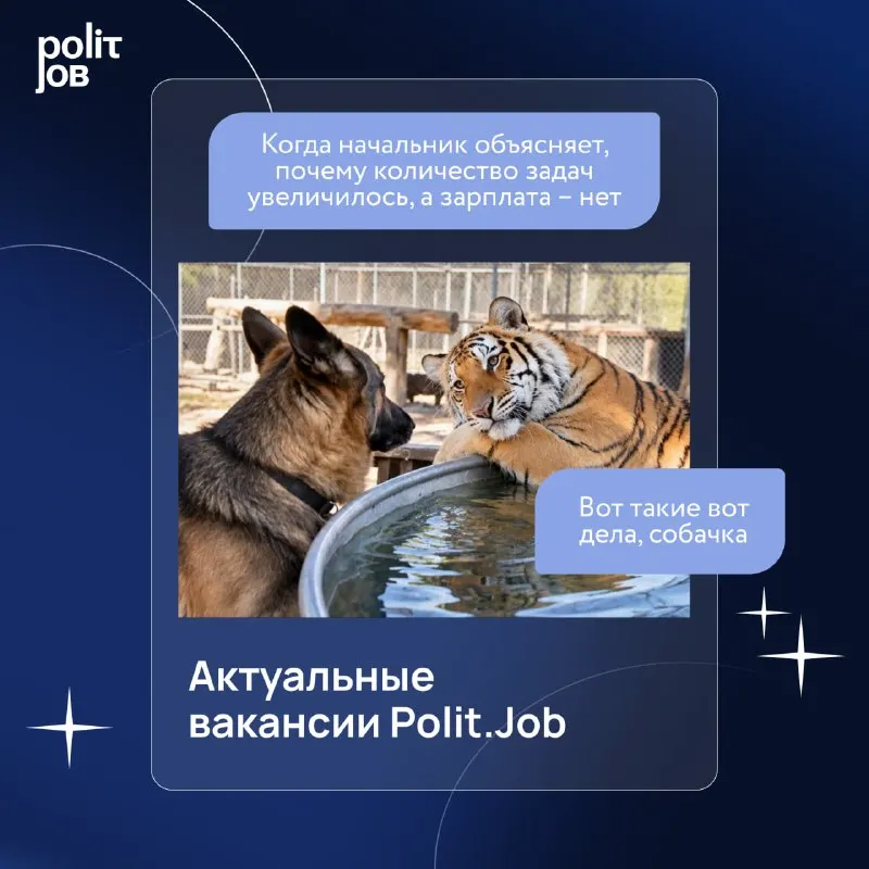 Пост канала «Платформа «Дигория»» от 24 сентября 2026 г.