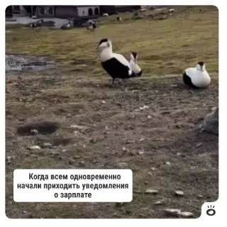 Пост канала «Поиск | E1.RU | Работа Екатеринбург» от 1 октября 2026 г.