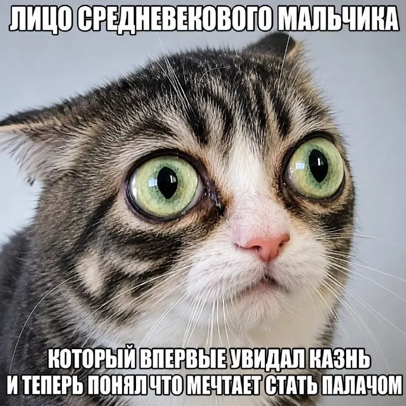 Пост канала «Страдающее Средневековье» от 28 сентября 2026 г.
