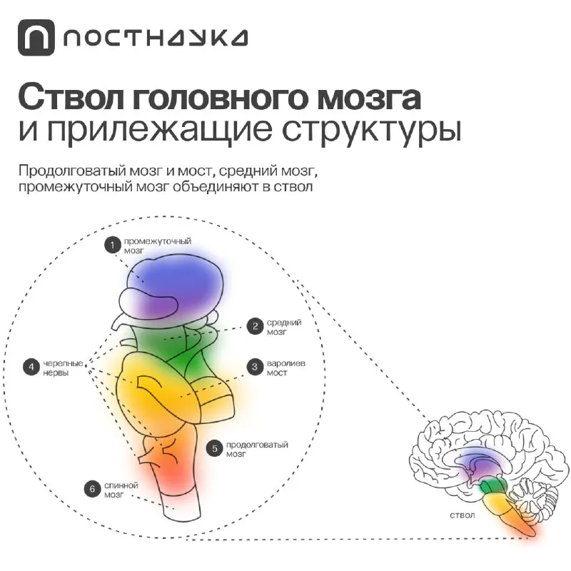 Пост канала «ПостНаука» от 30 сентября 2026 г.