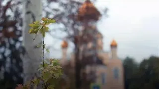 Пост канала «Правительство ДНР» от 30 сентября 2026 г.