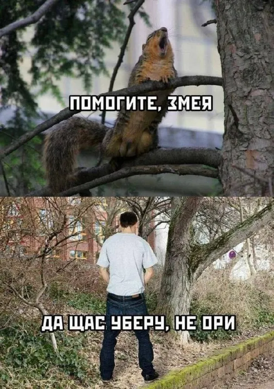 Пост канала «Санек не пизди отсюда мемы» от 30 сентября 2026 г.