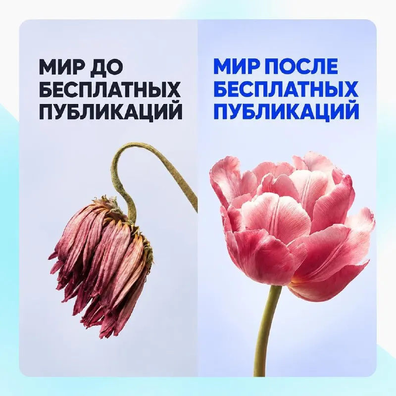 Пост канала «Pressfeed» от 25 сентября 2026 г.