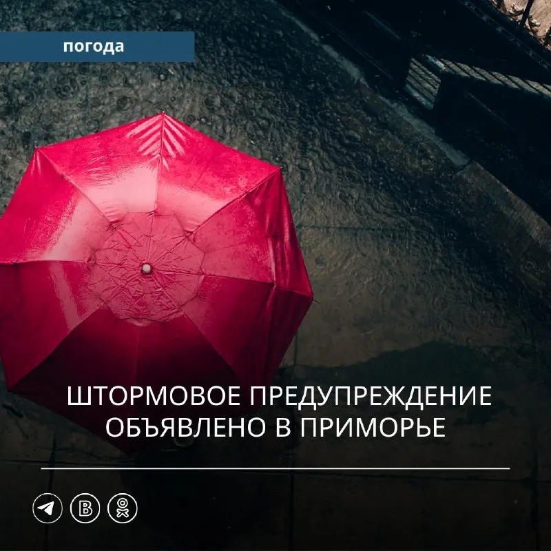 Пост канала «Примгидромет | погода Приморье | погода Владивосток» от 29 сентября 2026 г.