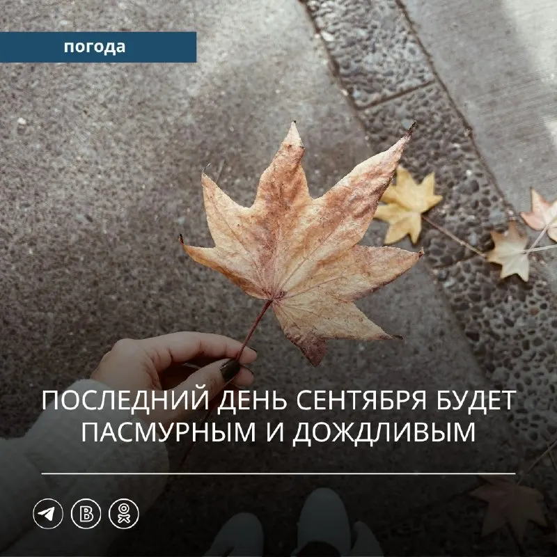 Пост канала «Примгидромет | погода Приморье | погода Владивосток» от 29 сентября 2026 г.