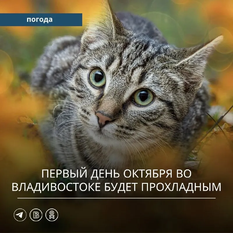 Пост канала «Примгидромет | погода Приморье | погода Владивосток» от 30 сентября 2026 г.