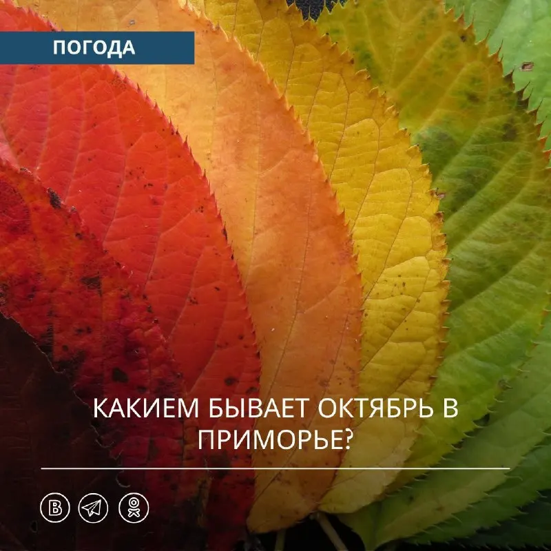 Пост канала «Примгидромет | погода Приморье | погода Владивосток» от 1 октября 2026 г.