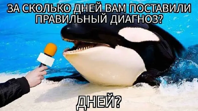 Пост канала «Погранично-шизоидные отношения|ПШО» от 30 сентября 2026 г.