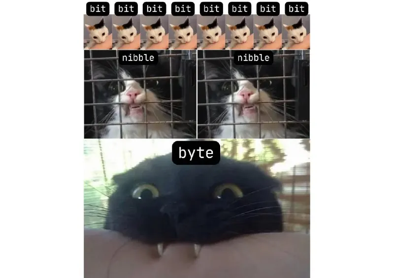 Post by “ProgrammerHumor” from September 10, 2026