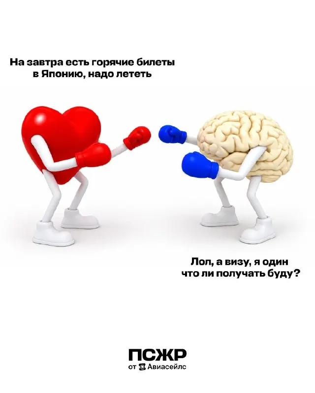Пост канала «ПСЖР от Авиасейлс» от 24 сентября 2026 г.