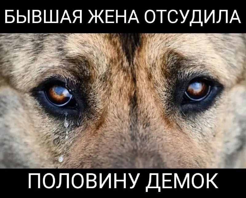 Пост канала «вечеринка» от 30 сентября 2026 г.