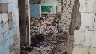 Пост из Readovka