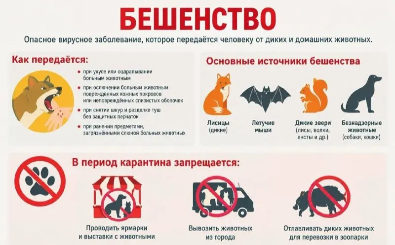 Пост канала «REDACTED P6 (КОТËЛ #6)» от 30 сентября 2026 г.