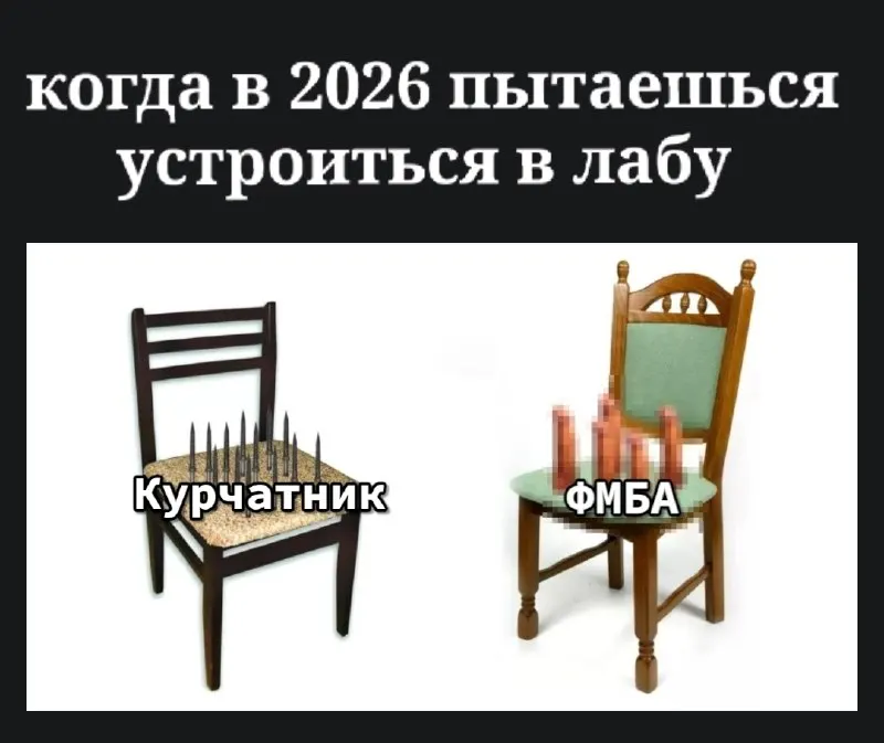 Пост канала «Labrats» от 29 сентября 2026 г.