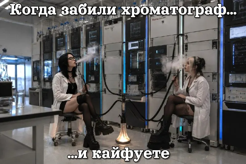 Пост канала «Labrats» от 29 сентября 2026 г.