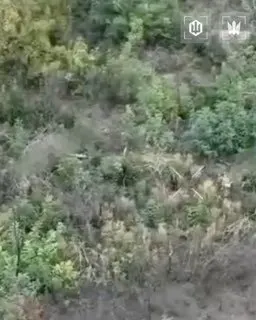 Post by “МАДЯР🇺🇦” from September 29, 2026