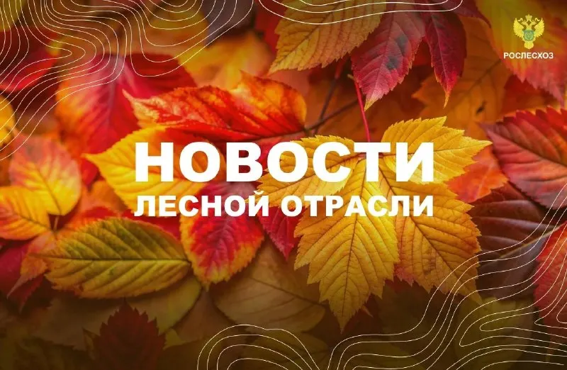Пост канала «РОСЛЕСХОЗ» от 30 сентября 2026 г.